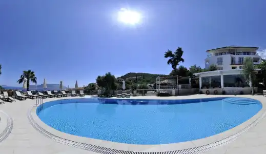 Olea Nova - 16