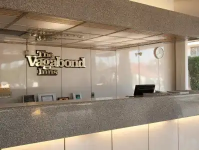 Vagabond Motor - Palm Springs - 22
