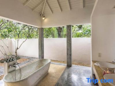 The Frangipani Tree by Edwards Collection - 52