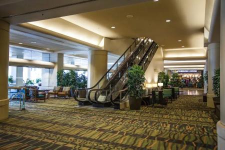Ala Moana by AirPads - 17