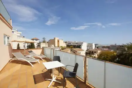 Zurbarán Palma - 115