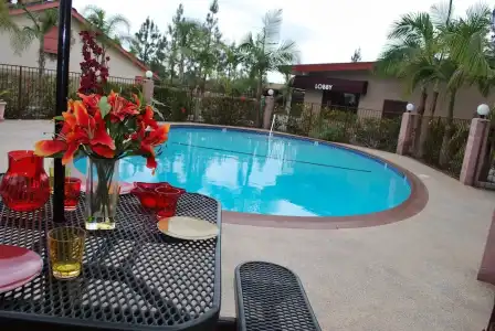 Budget Inn Anaheim - 13