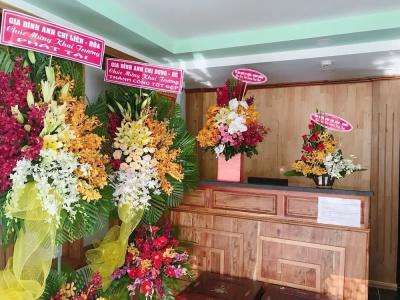 Thanh Vinh - 11