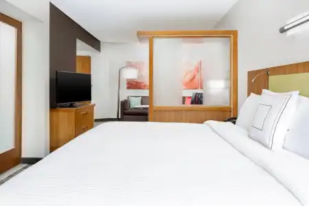 Springhill Suites San Diego Mission Valley - 58