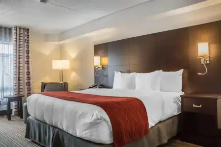 Comfort Inn Leamington - 47