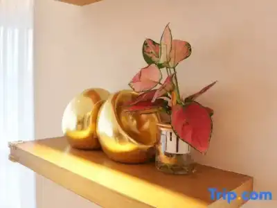 Le Joy - 113