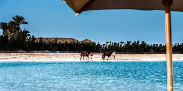 Gravity & Aqua Park Hurghada  Families and Couples Only - 28