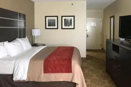 Comfort Inn North of Asheville - 25