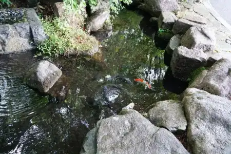 Blancvert Nasu - 14