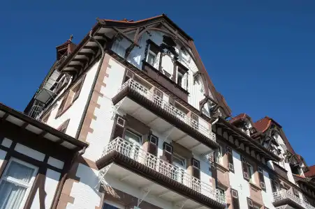 Das Palmenwald Schwarzwald, BW Signature Collection - 0