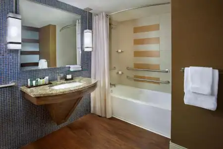 Hilton Palacio Del Rio - 66