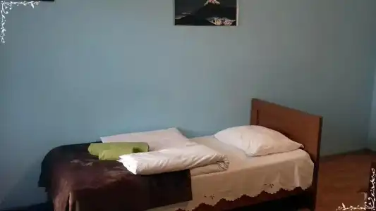 Nino Khetaguri Guest House - 21