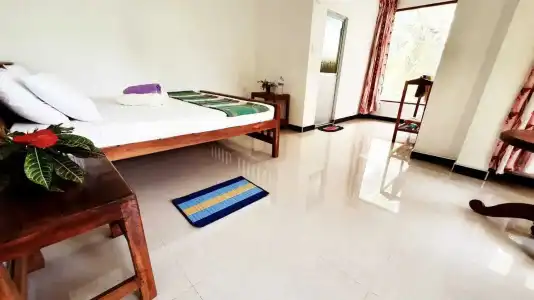 Turtle Paradise - 26