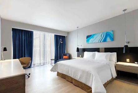 Hilton Garden Inn Mexico City Santa Fe - 63