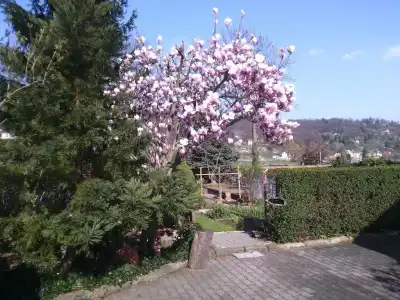 Alttolkewitzer Ferien- & Privatzimmer Mrosk Dresden - 17
