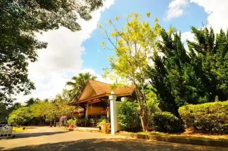 Krabi Flora - 5