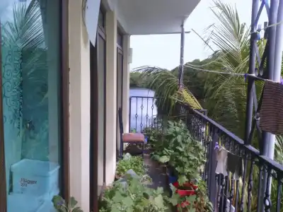 Le Bamboo Guesthouse - 29