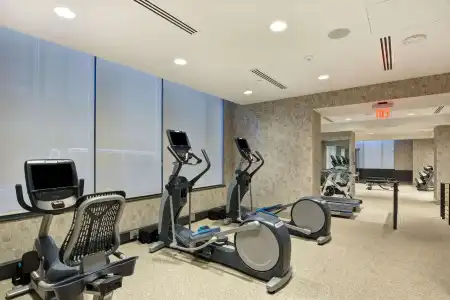 The Cincinnatian Curio Collection by Hilton - 18