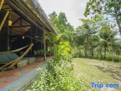 Mango Bay Resort - 202