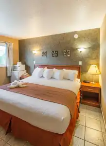Oasis Inn - 20