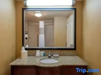 Hampton Inn & Suites Florence-North-I-95 - 66