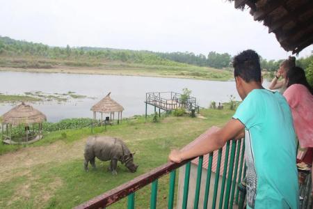 Jungle Wildlife Camp - 4