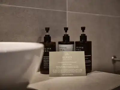 Alamis & Apartments - 28