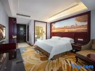 Vienna Shenzhen Shawan Branch - 44