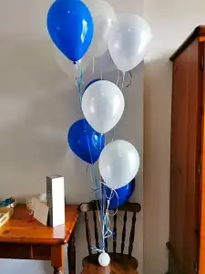 Calaluna - 26
