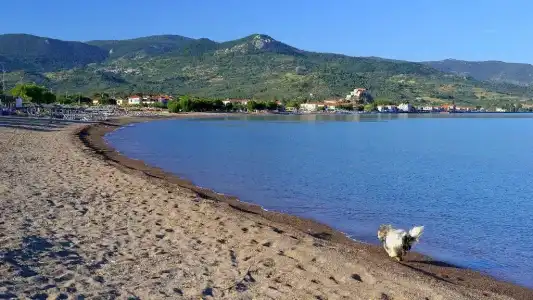 Panorama - 16