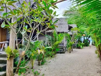 Absolute Beachfront Resort - 20