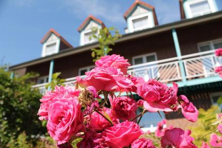 TOP Blumlage Celle - 14