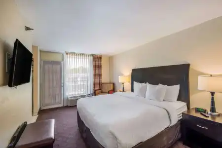 Clarion Inn & Suites Central Clearwater Beach - 66