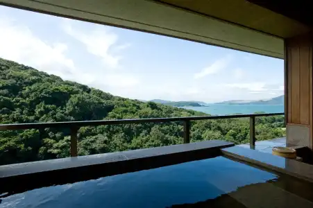 Hanashinsui Ryokan - 8