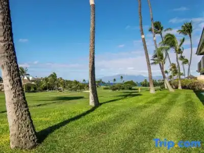 Kaanapali Maui at the Eldorado by OUTRIGGER - 215
