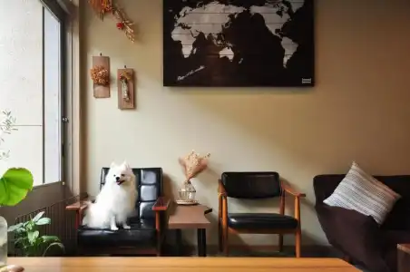 Suzuki Guesthouse - 25