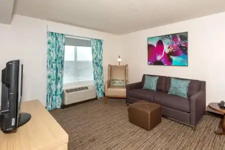 Hilton Garden Inn Daytona Beach Airport - 110