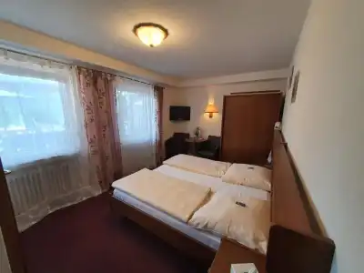 Pension Haus Diefenbach - 39