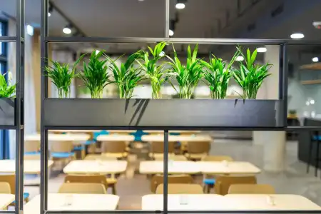elaya goeppingen, Trademark Collection by Wyndham - 15