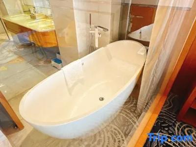 SciTechˑChina NARADA - 216