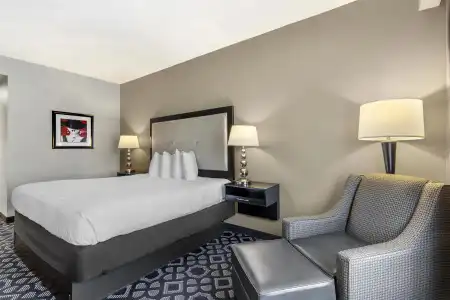 Best Western Plus Laredo Inn & Suites - 28