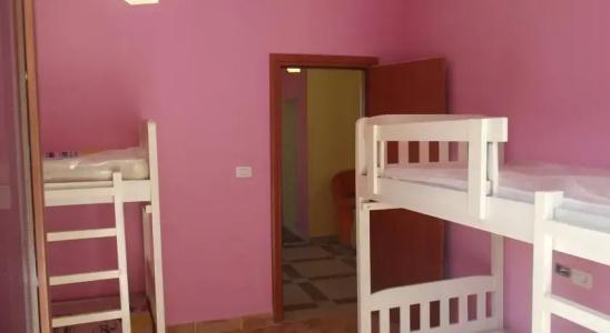 Dolphin Hostel - 1