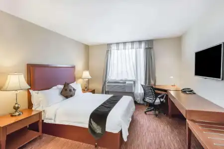 Ramada by Wyndham Flushing Queens - 23
