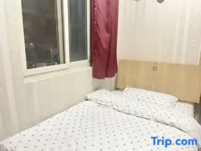 Wanfeng - 19