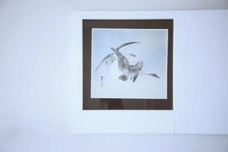 Prestige Mar y Sol - 69