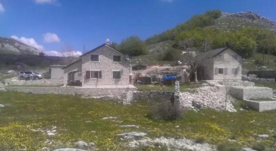 Guest House Lovcen - 1