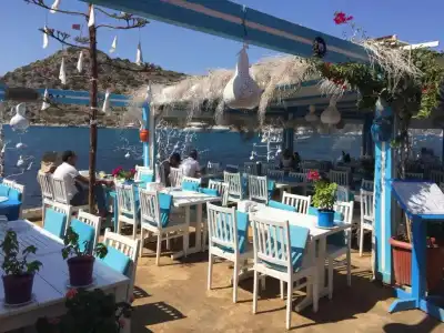 Blue Point - 11
