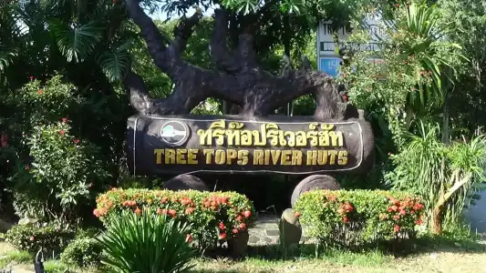 Tree Top River Huts - 39