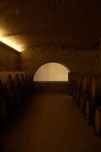 Le Buche Wine Resort & Spa - 12