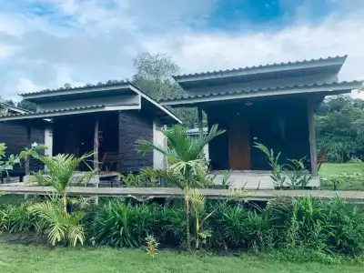 P.D. Guesthouse - 27